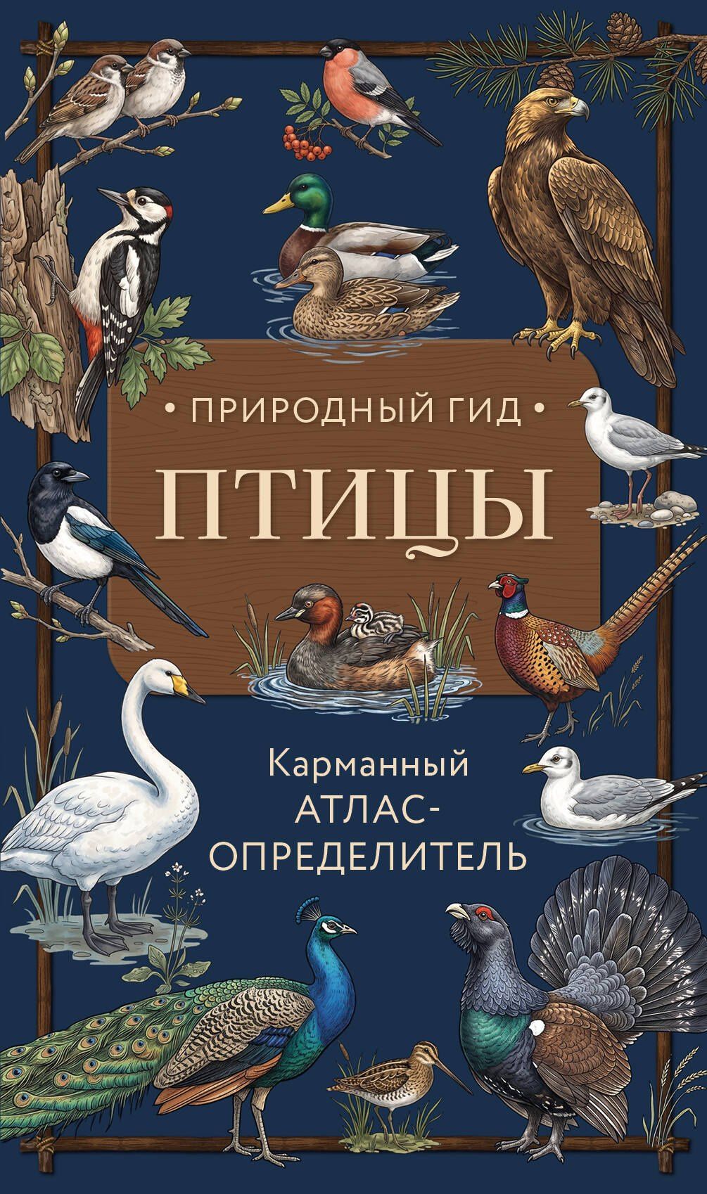 Николай Вереницын: Птицы. Карманный атлас-определитель