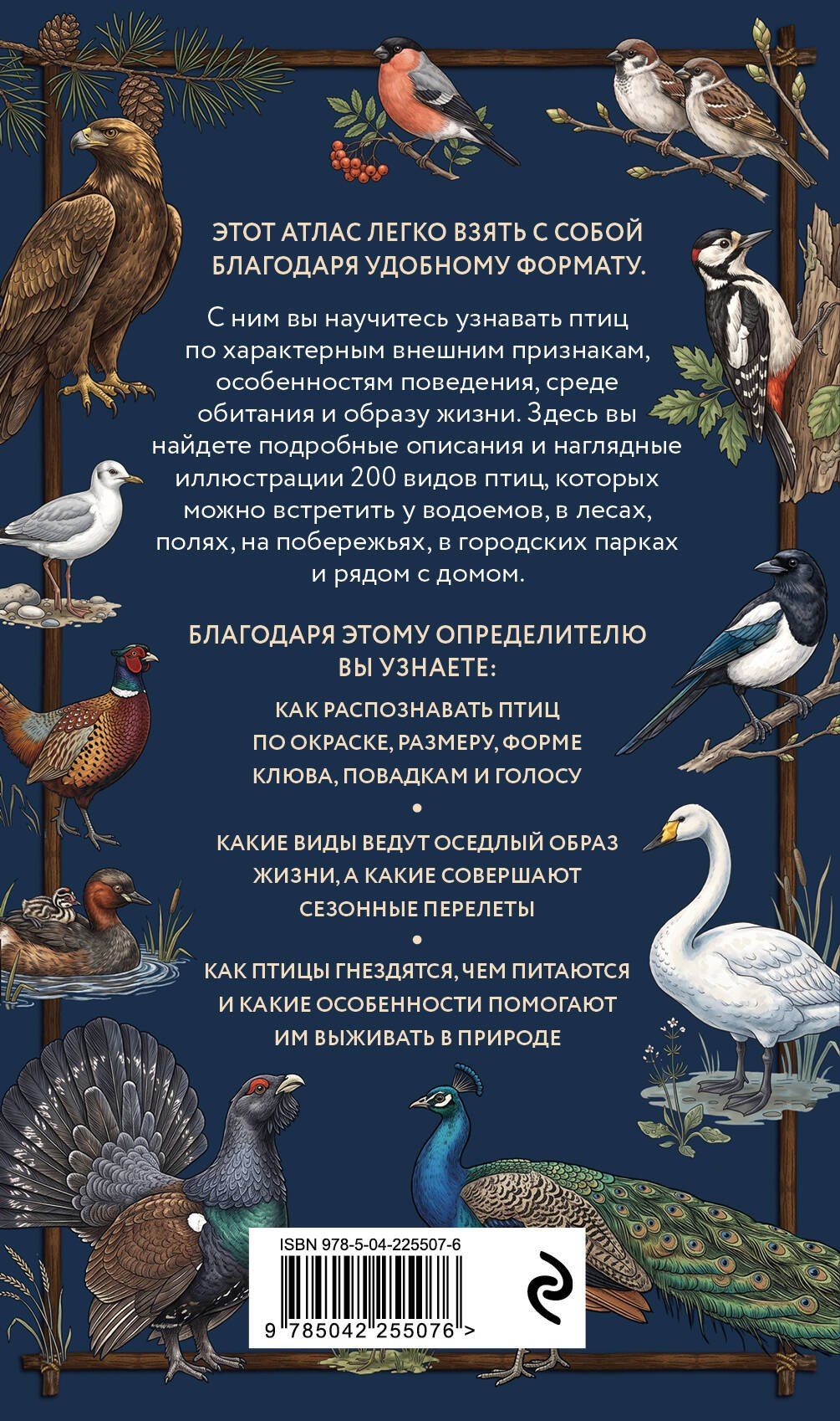 Николай Вереницын: Птицы. Карманный атлас-определитель
