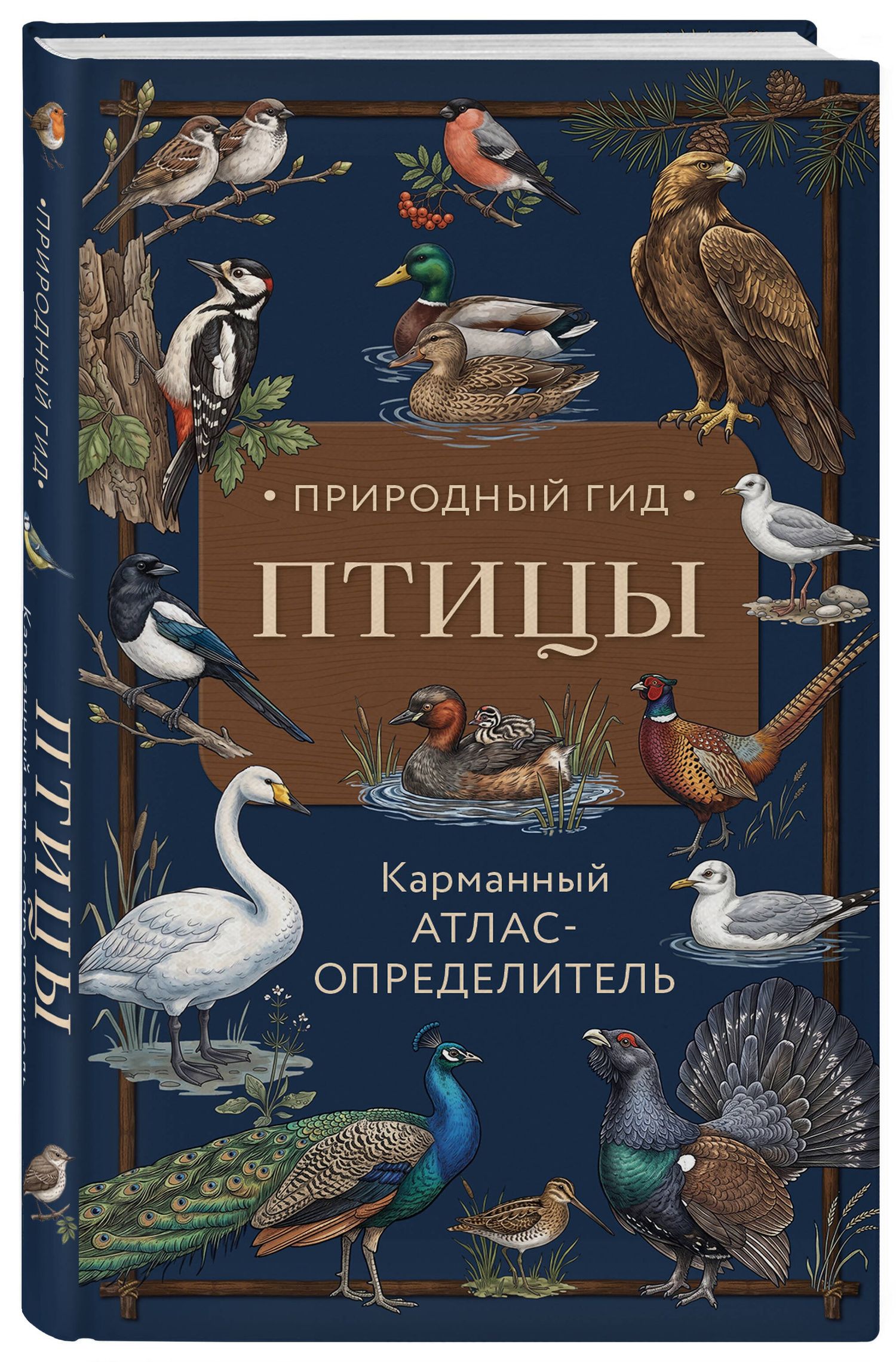 Николай Вереницын: Птицы. Карманный атлас-определитель