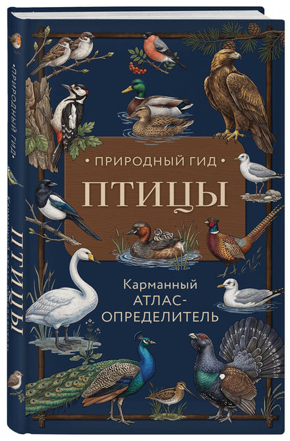 Николай Вереницын: Птицы. Карманный атлас-определитель