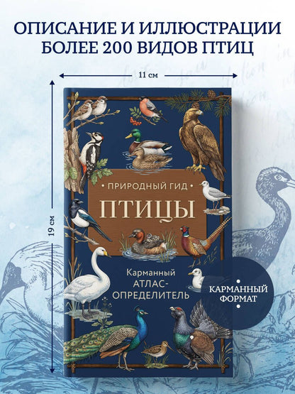 Николай Вереницын: Птицы. Карманный атлас-определитель
