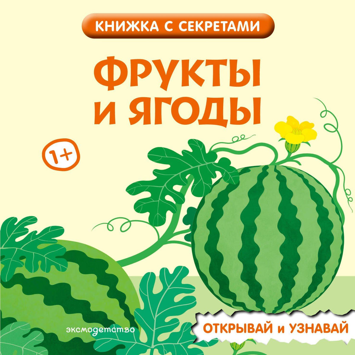 Фрукты и ягоды