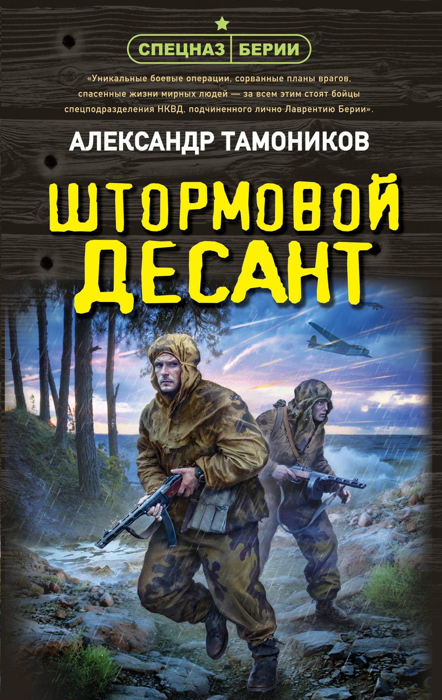 Александр Тамоников: Штормовой десант