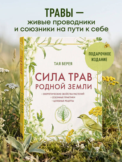 Татьяна Чуйкина: Сила трав родной земли. Энергетические свойства растений, сезонные практики и целебные рецепты