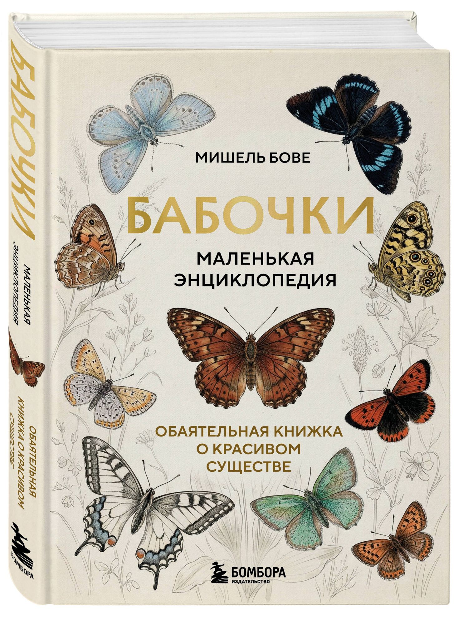 Мишель Бове: Бабочки! Маленькая энциклопедия. Обаятельная книжка о красивом существе