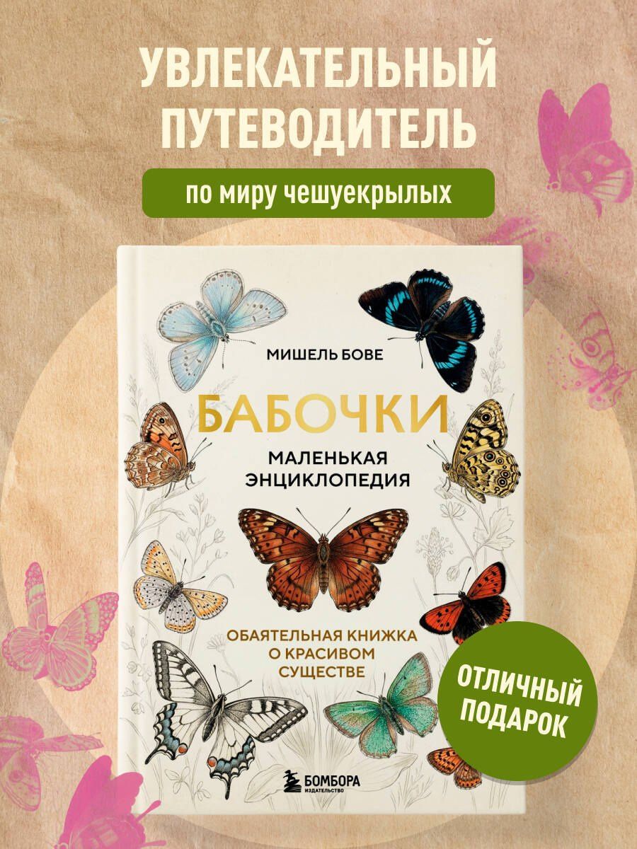 Мишель Бове: Бабочки! Маленькая энциклопедия. Обаятельная книжка о красивом существе