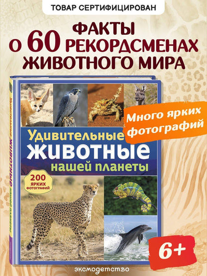 Удивительные животные нашей планеты
