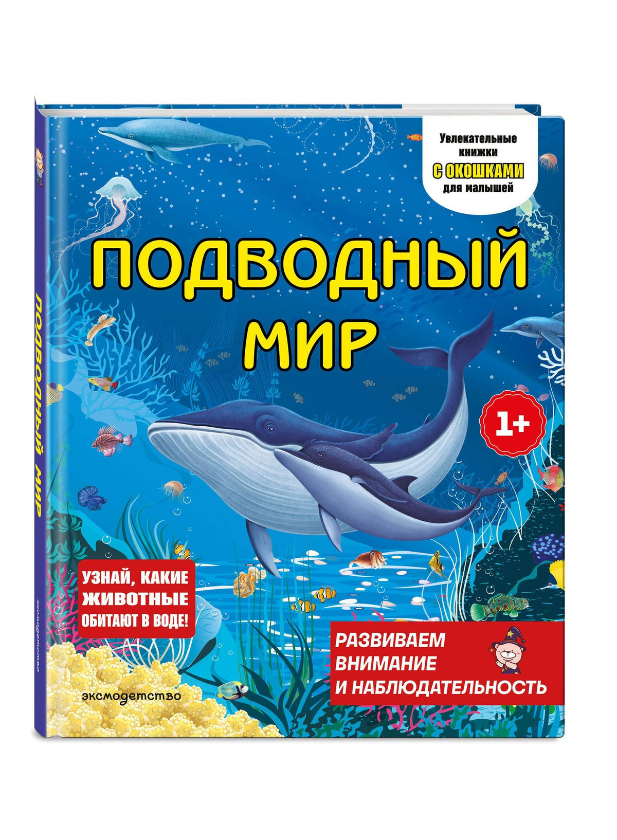 Подводный мир