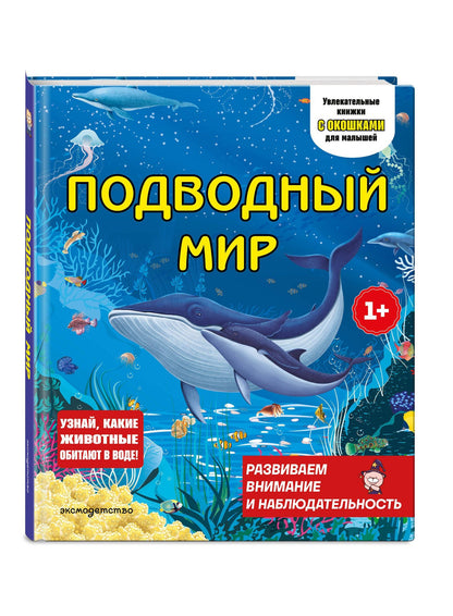 Подводный мир