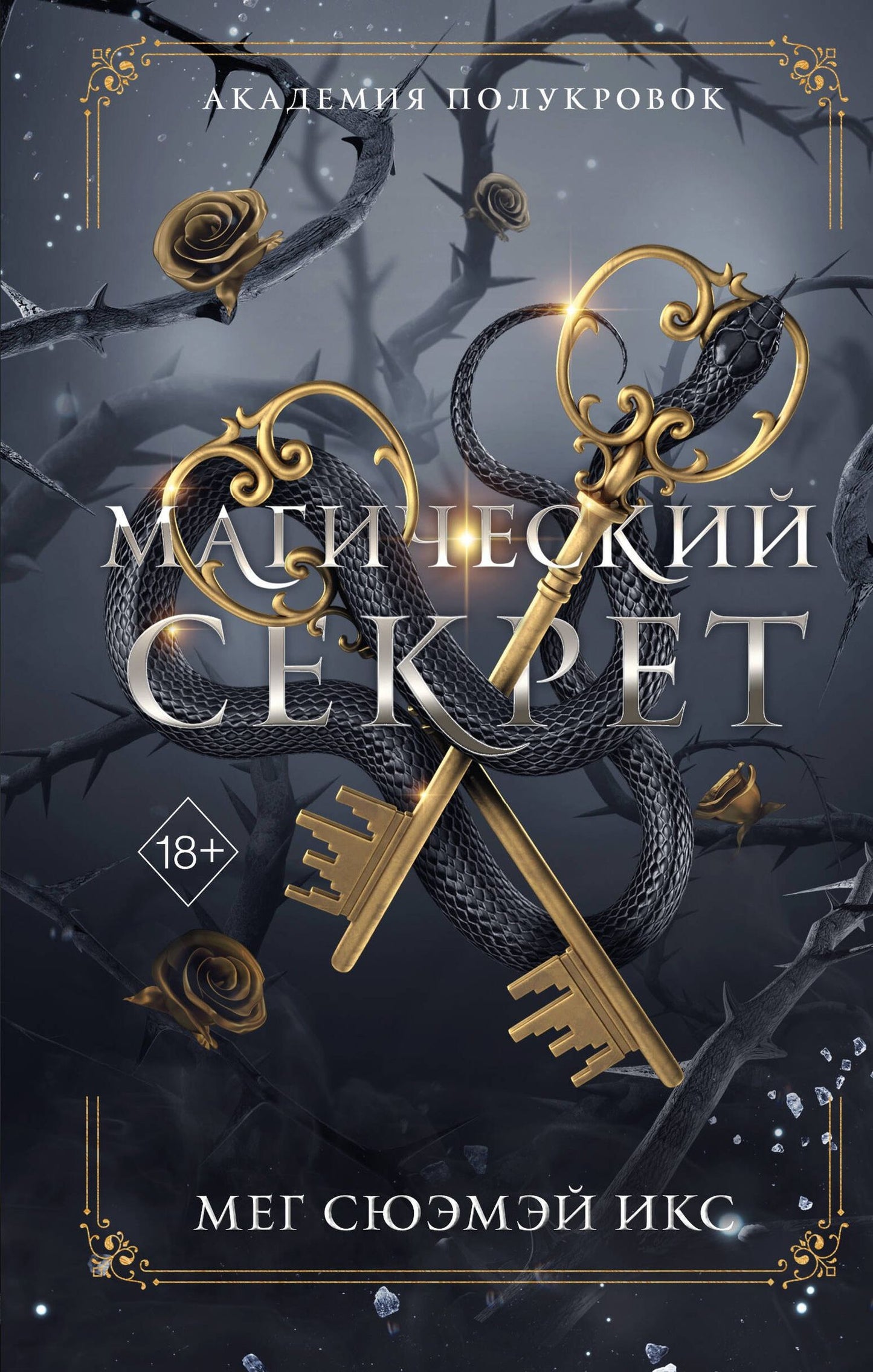 Мег Икс: Академия полукровок. Магический секрет (#2)