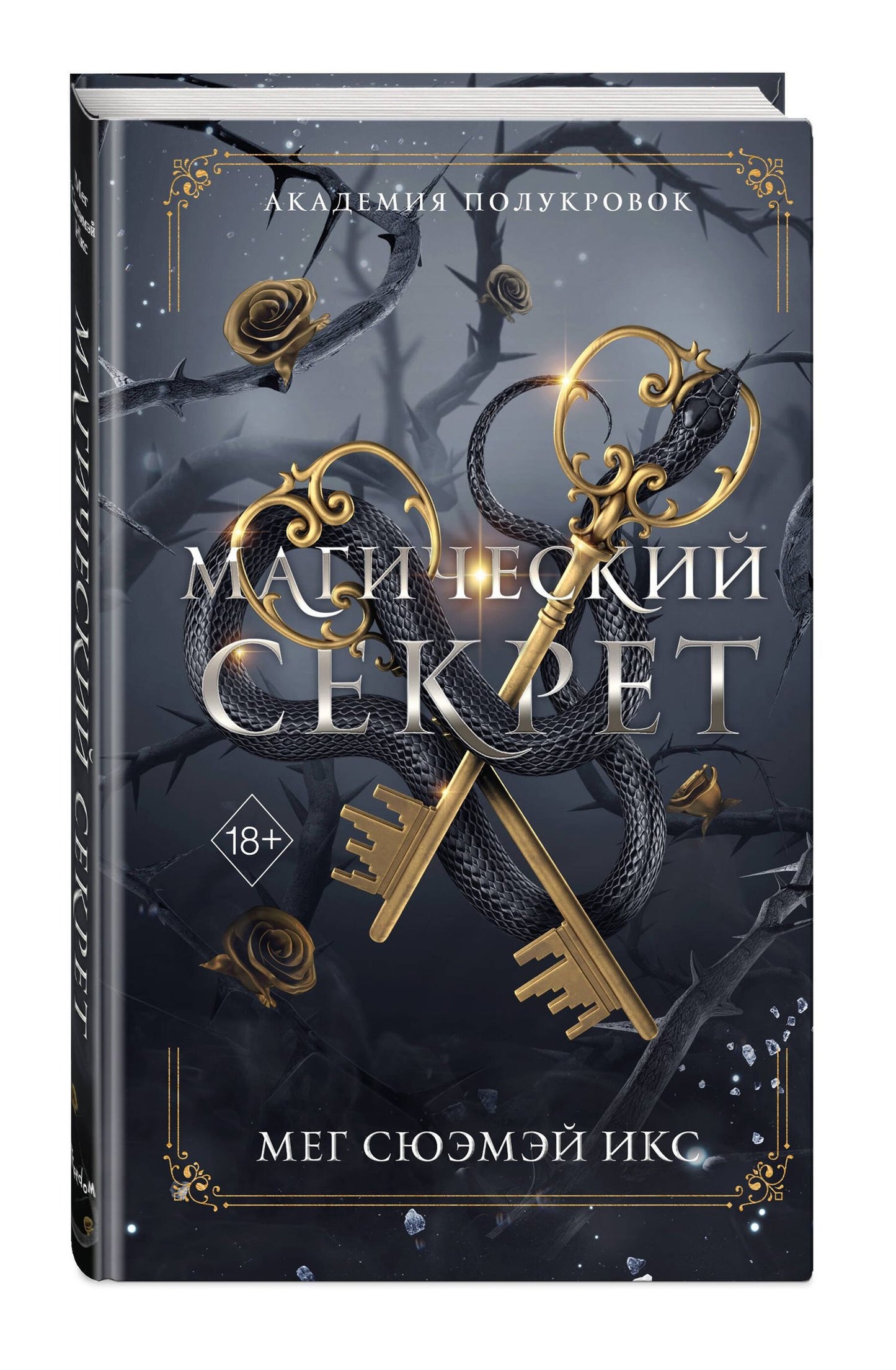 Мег Икс: Академия полукровок. Магический секрет (#2)