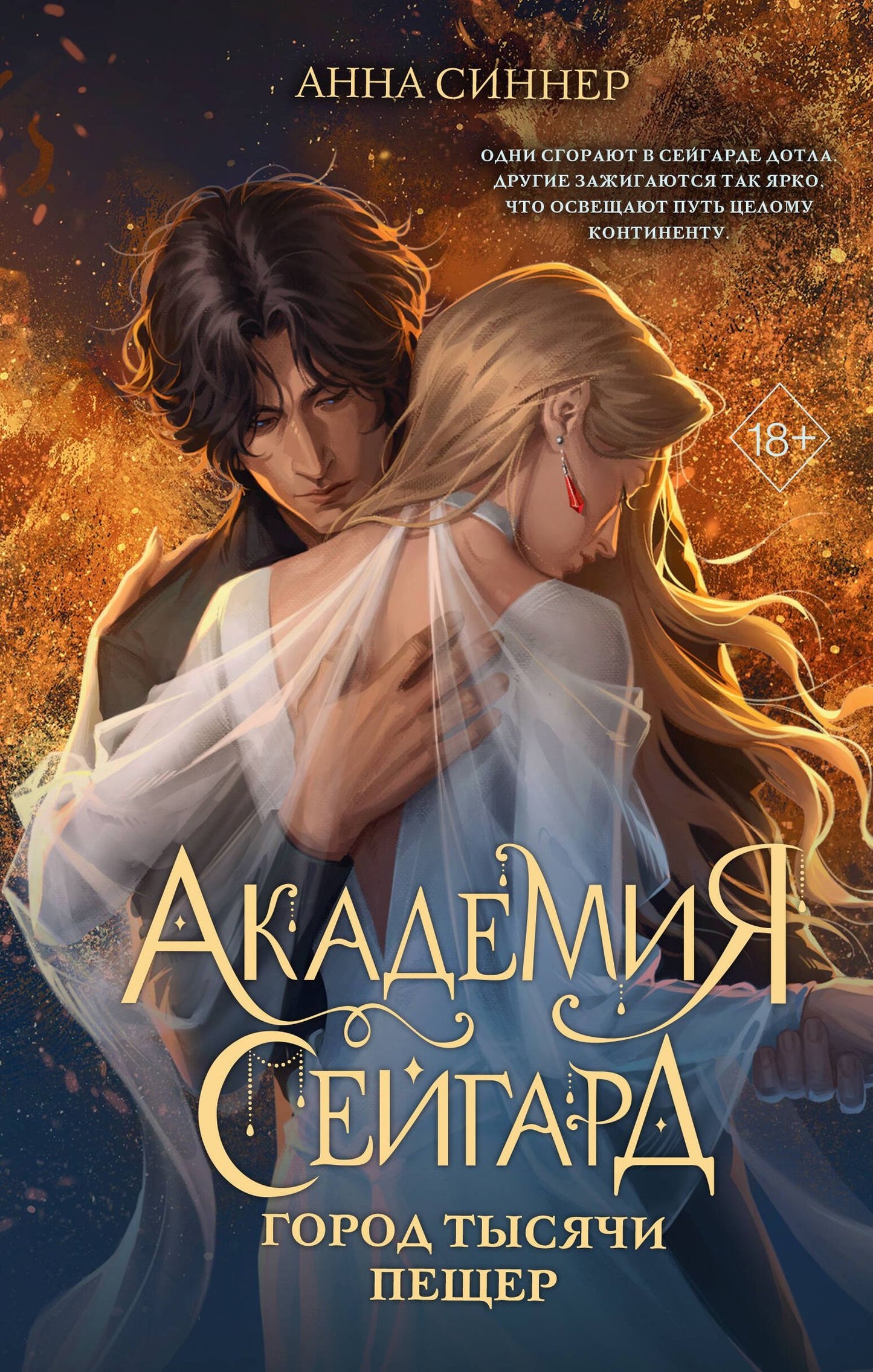 Анна Синнер: Академия Сейгард. Город тысячи пещер