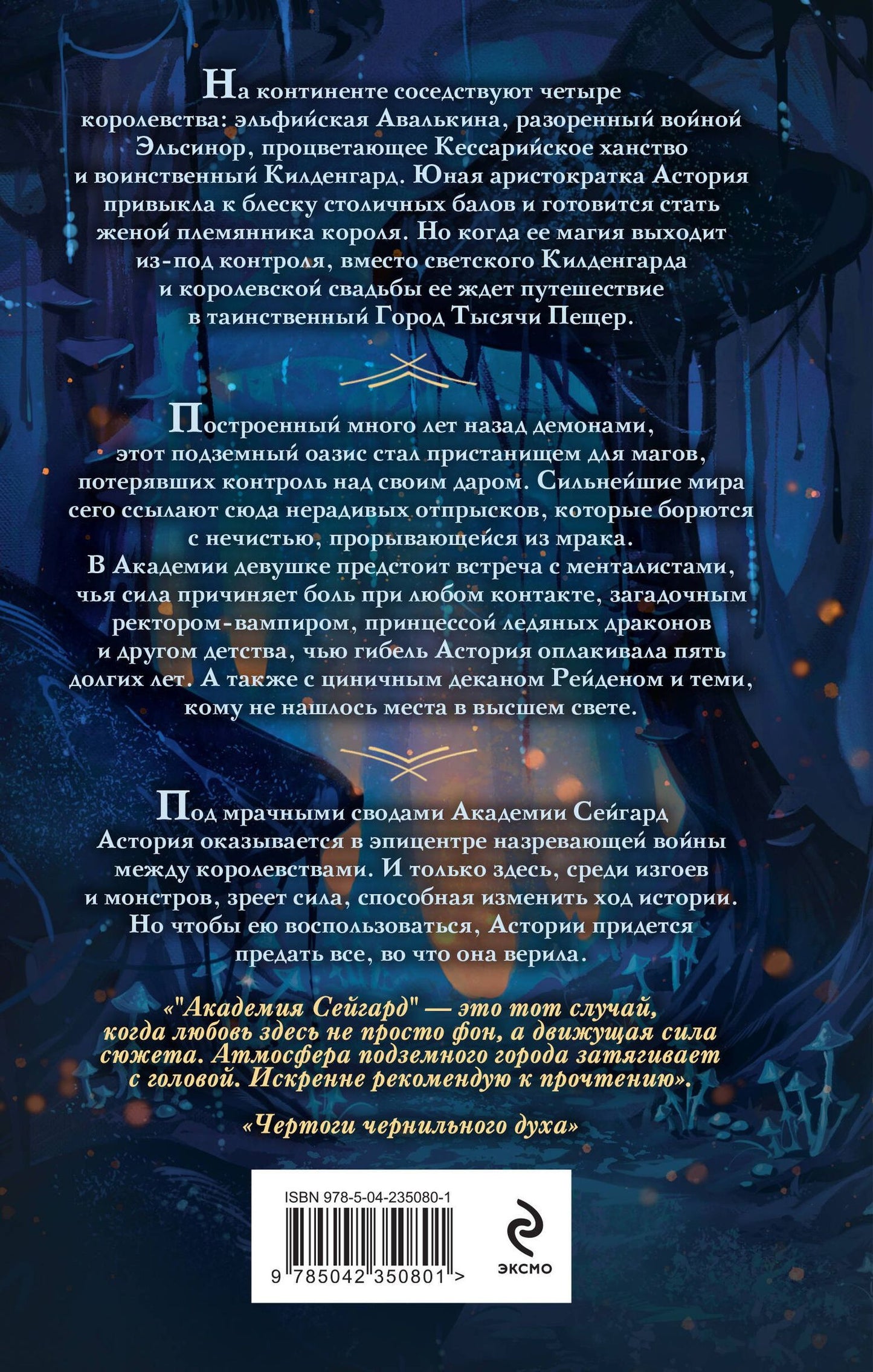 Анна Синнер: Академия Сейгард. Город тысячи пещер