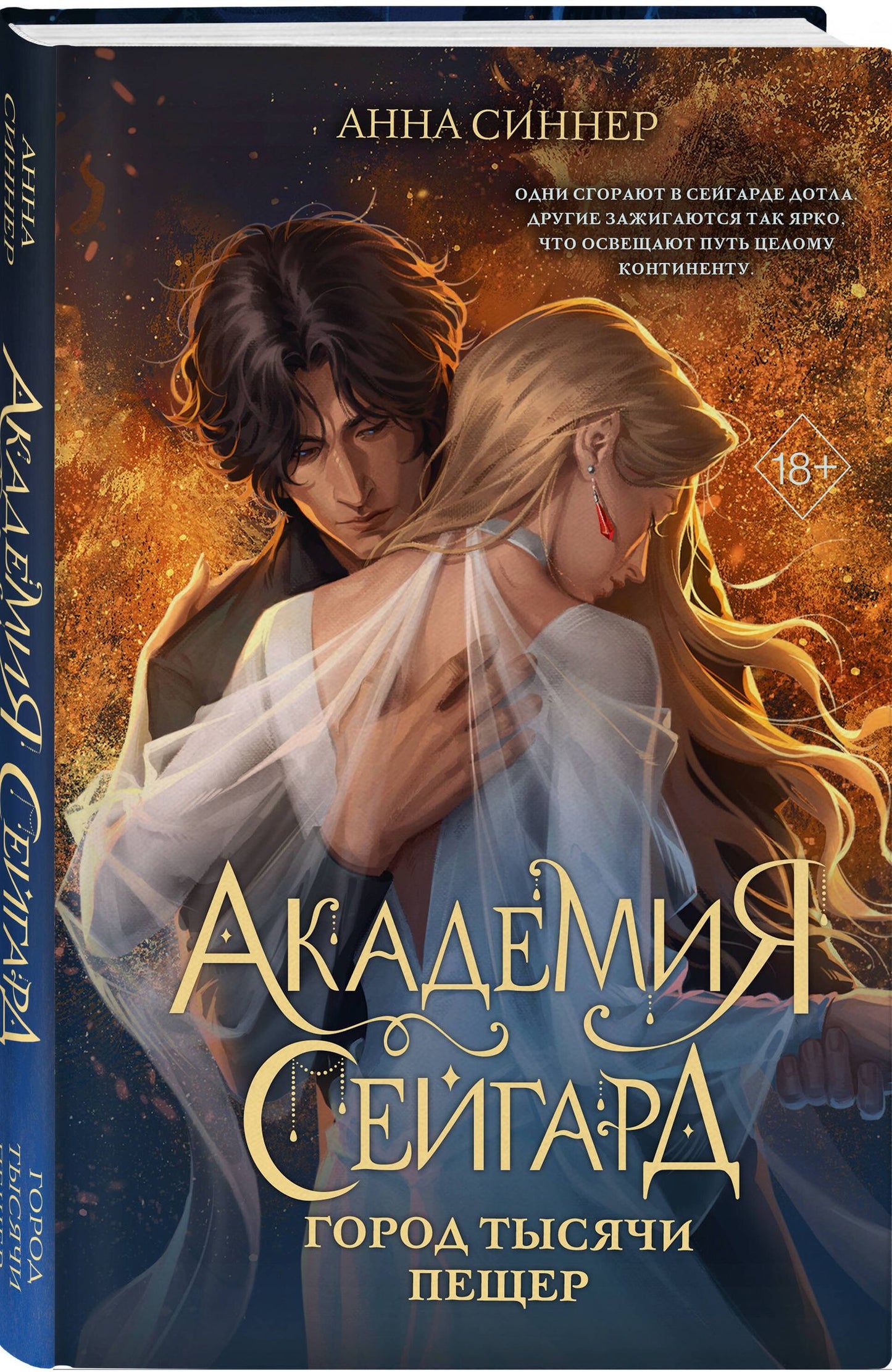 Анна Синнер: Академия Сейгард. Город тысячи пещер