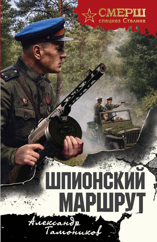 Александр Тамоников: Шпионский маршрут