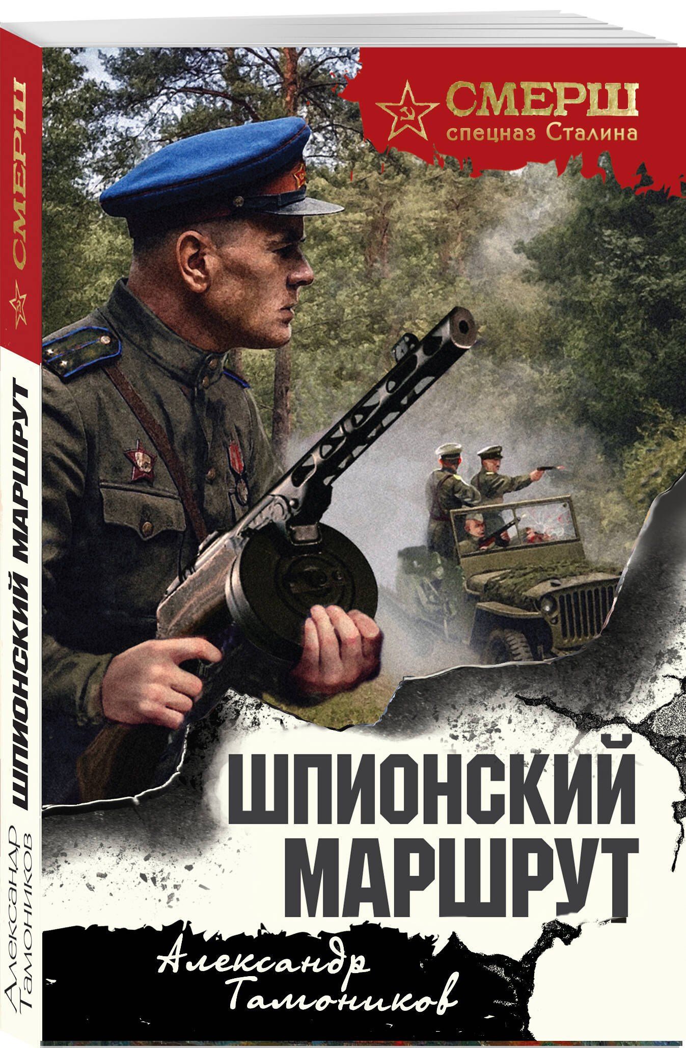 Александр Тамоников: Шпионский маршрут