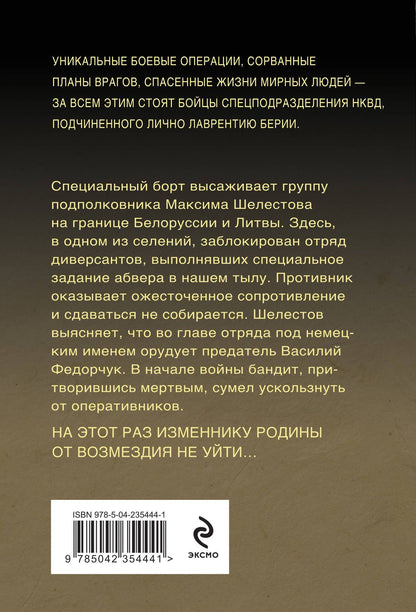 Александр Тамоников: Контрольная схватка