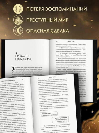 Холли Блэк: Похитительница Ночи (#2)