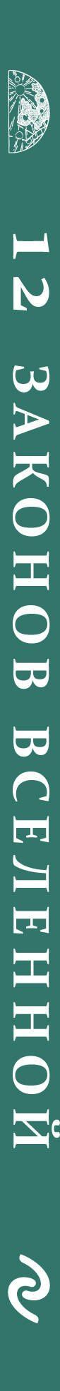 Манхардип Сингх: 12 законов Вселенной