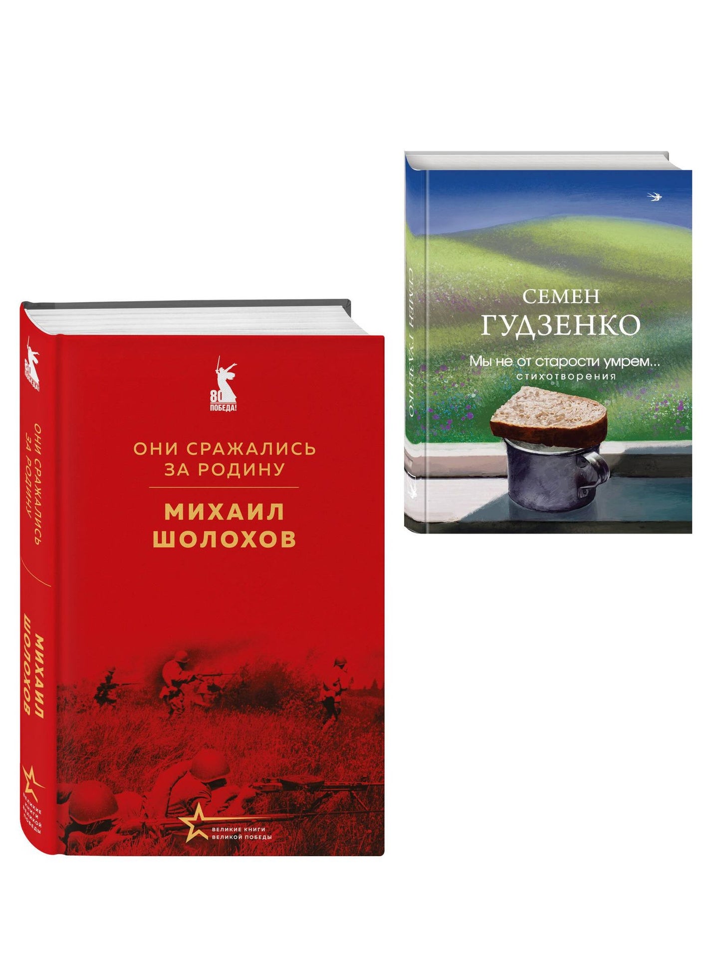 Мы возвратимся с победой (набор из 2-х книг: "Они сражались за Родину" М. Шолохова и "Мы не от старости умрем... Стихотворения" С. Гудзенко)