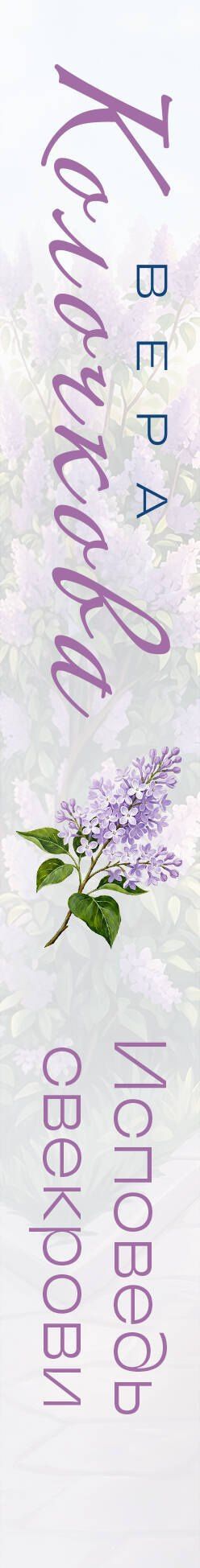 Вера Колочкова: Исповедь свекрови