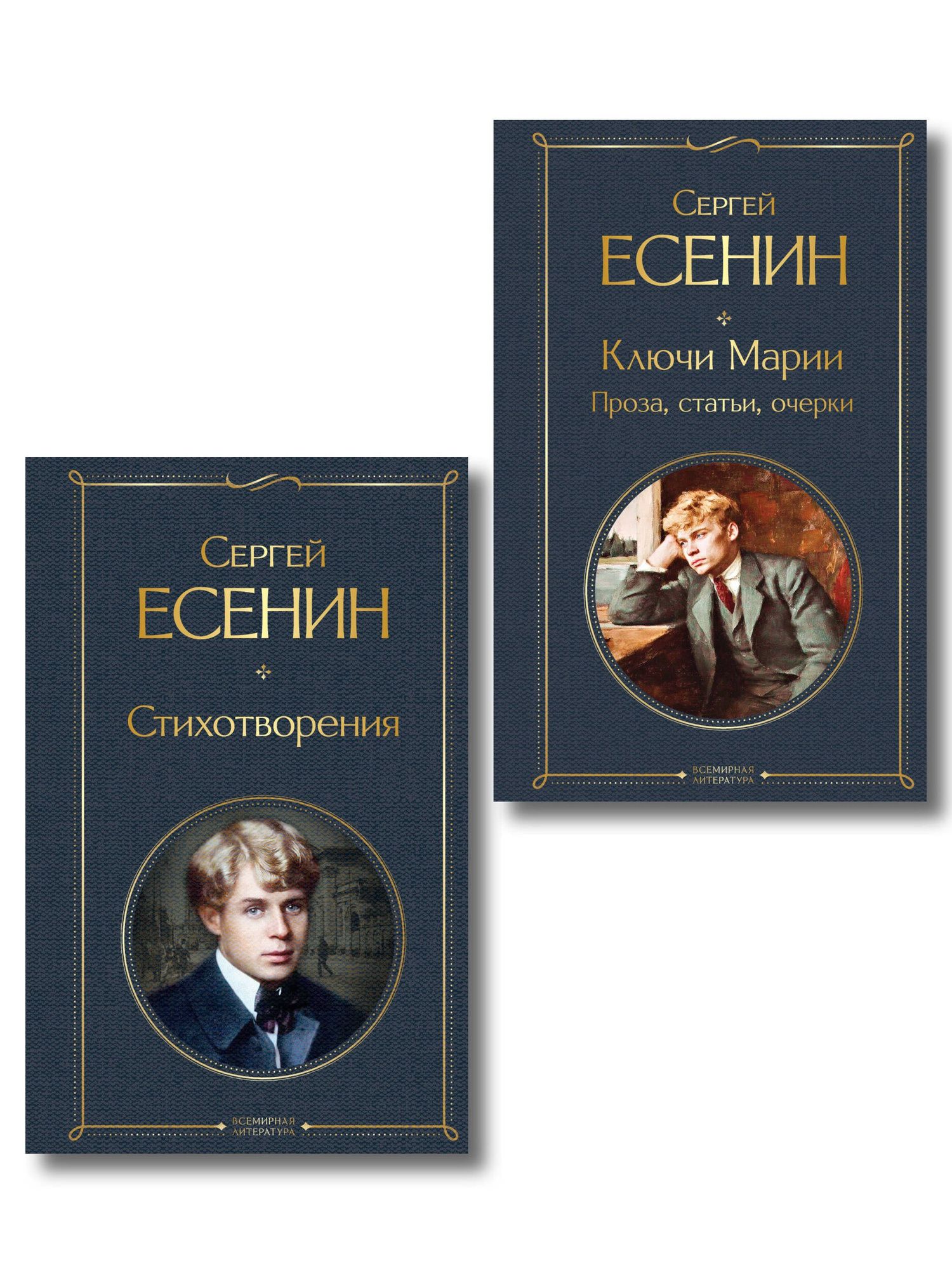 Сергей Есенин: Комплект Поэзия и проза Есенина (из 2-х книг: Стихотворения. Ключи Марии. Проза, статьи, очерки)
