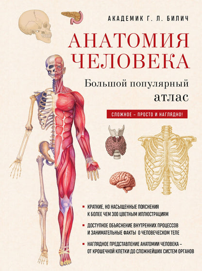 Габриэль Билич: Анатомия человека: большой популярный атлас (новое оформление)
