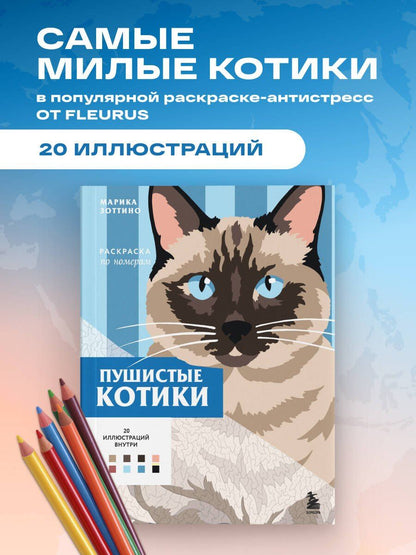 Пушистые котики. Раскраска по номерам