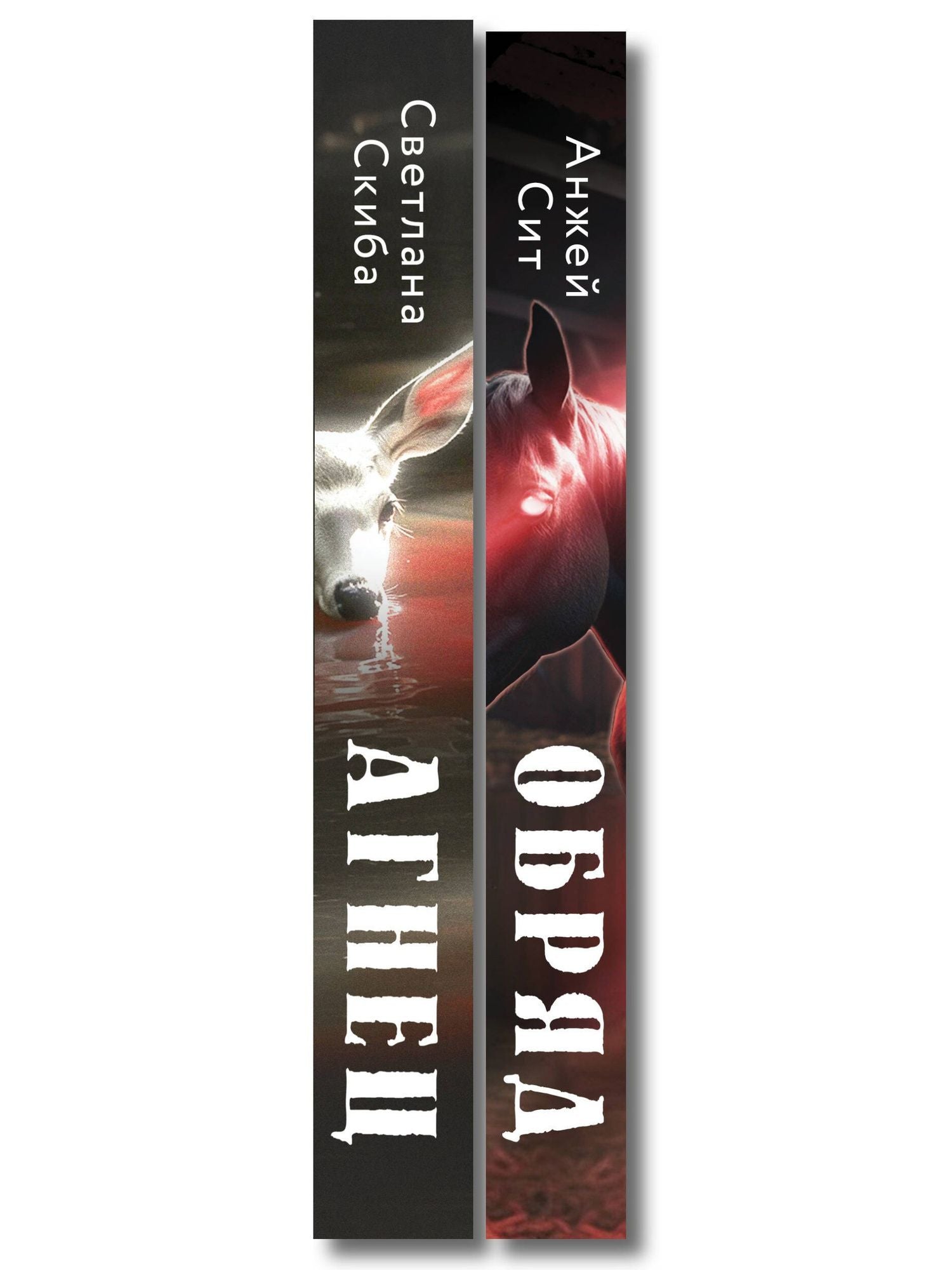 Анжей Сит: Комплект из 2-х книг: Агнец + Обряд
