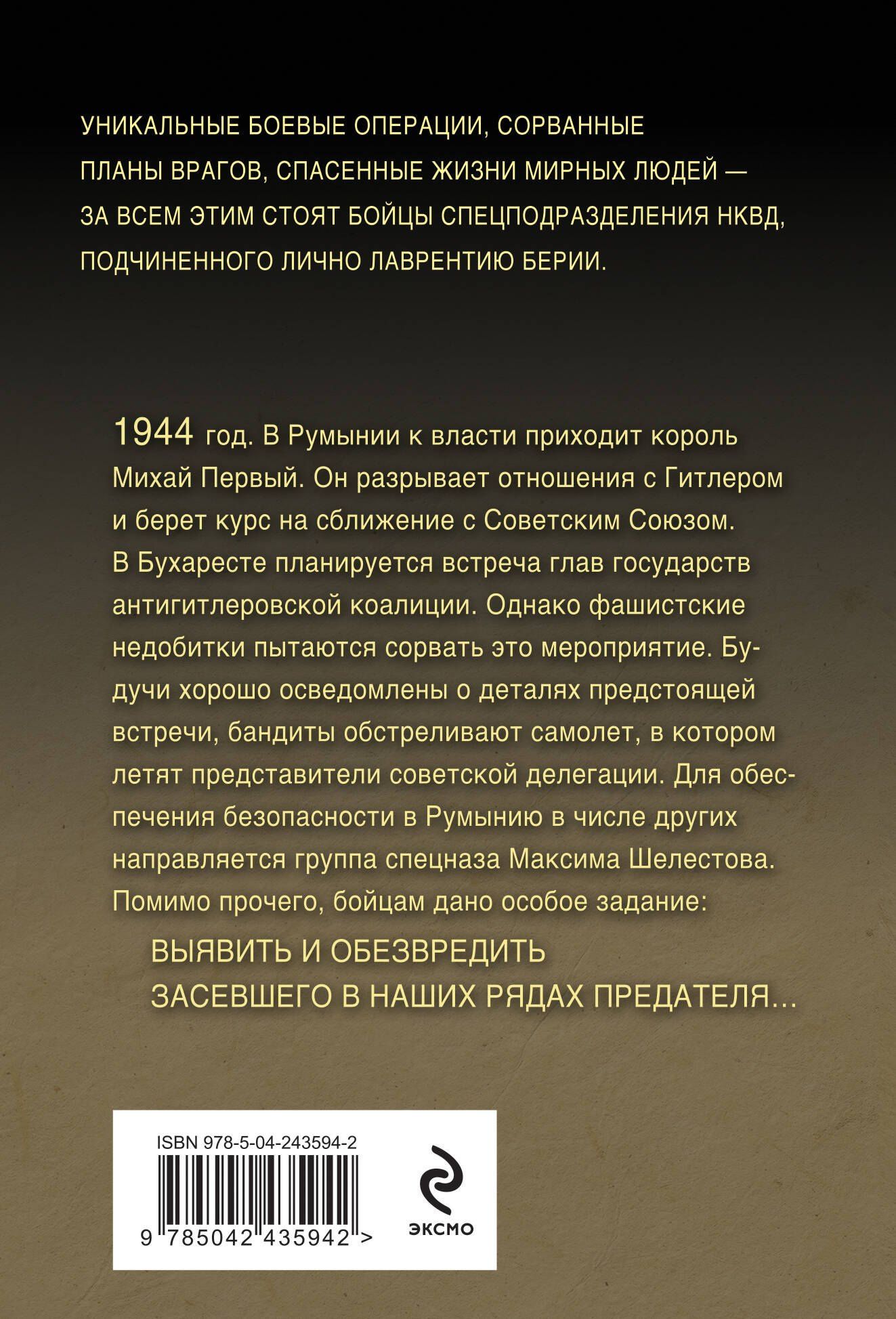 Александр Тамоников: Тайный фронт