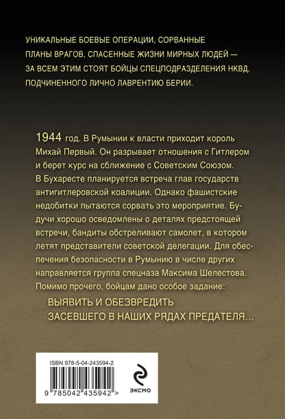 Александр Тамоников: Тайный фронт