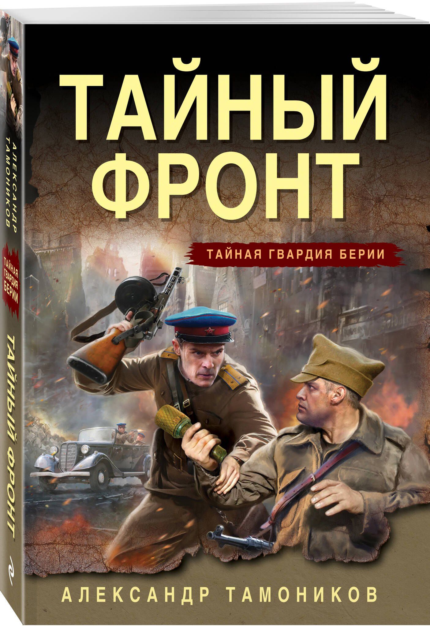 Александр Тамоников: Тайный фронт