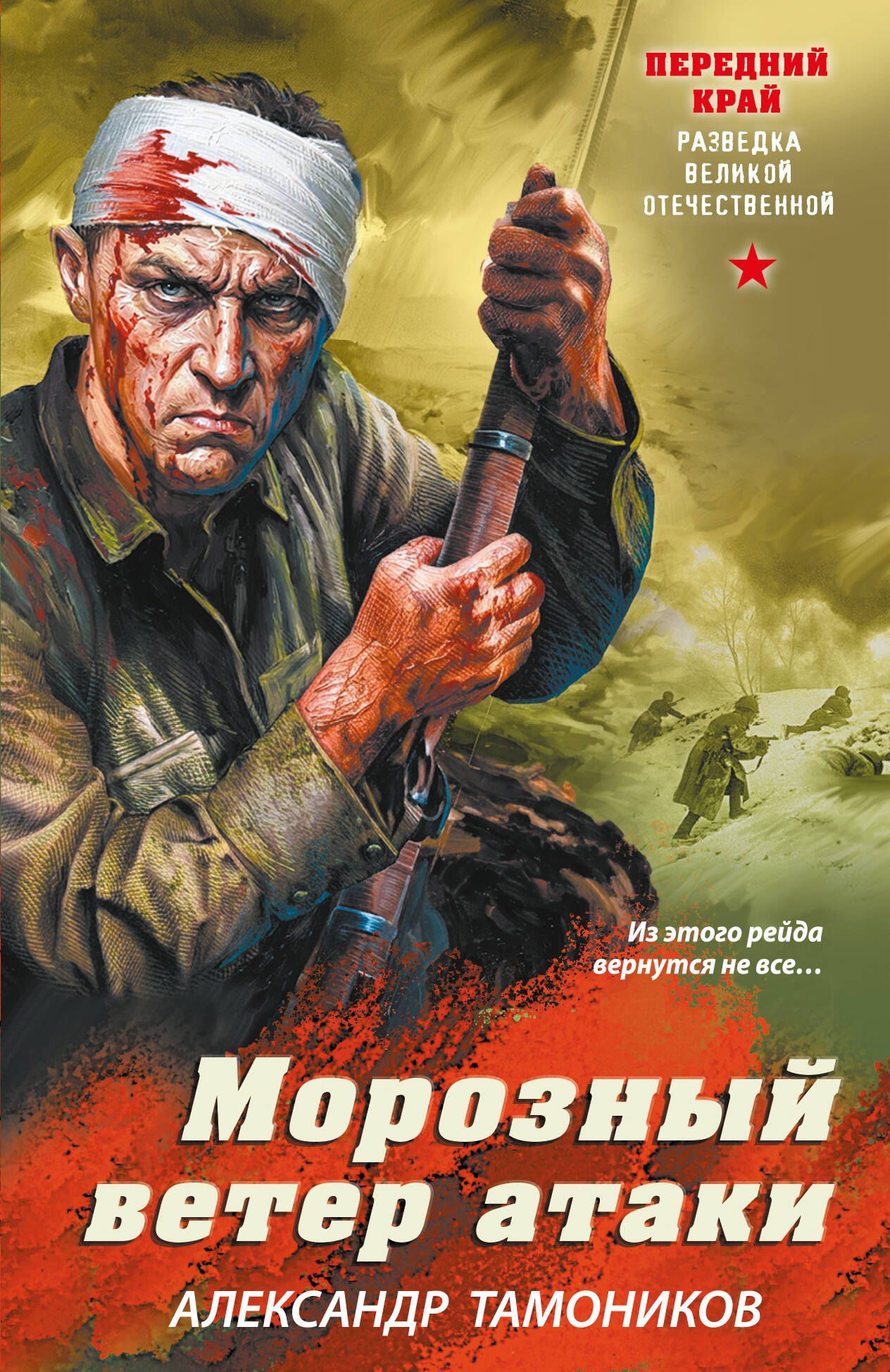 Александр Тамоников: Морозный ветер атаки