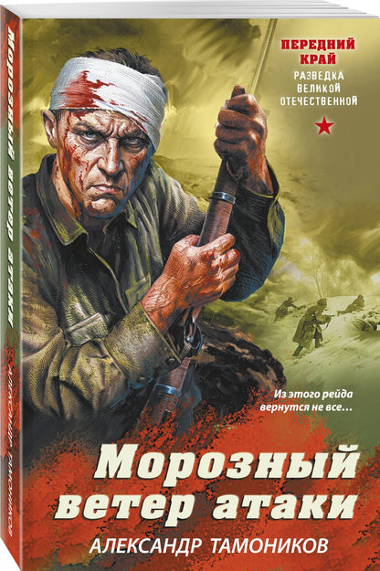 Александр Тамоников: Морозный ветер атаки