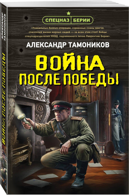 Александр Тамоников: Война после победы