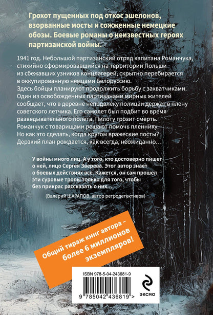 Сергей Зверев: Белорусское небо