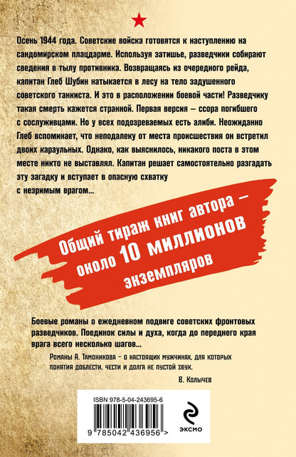 Александр Тамоников: Смерть в тылу