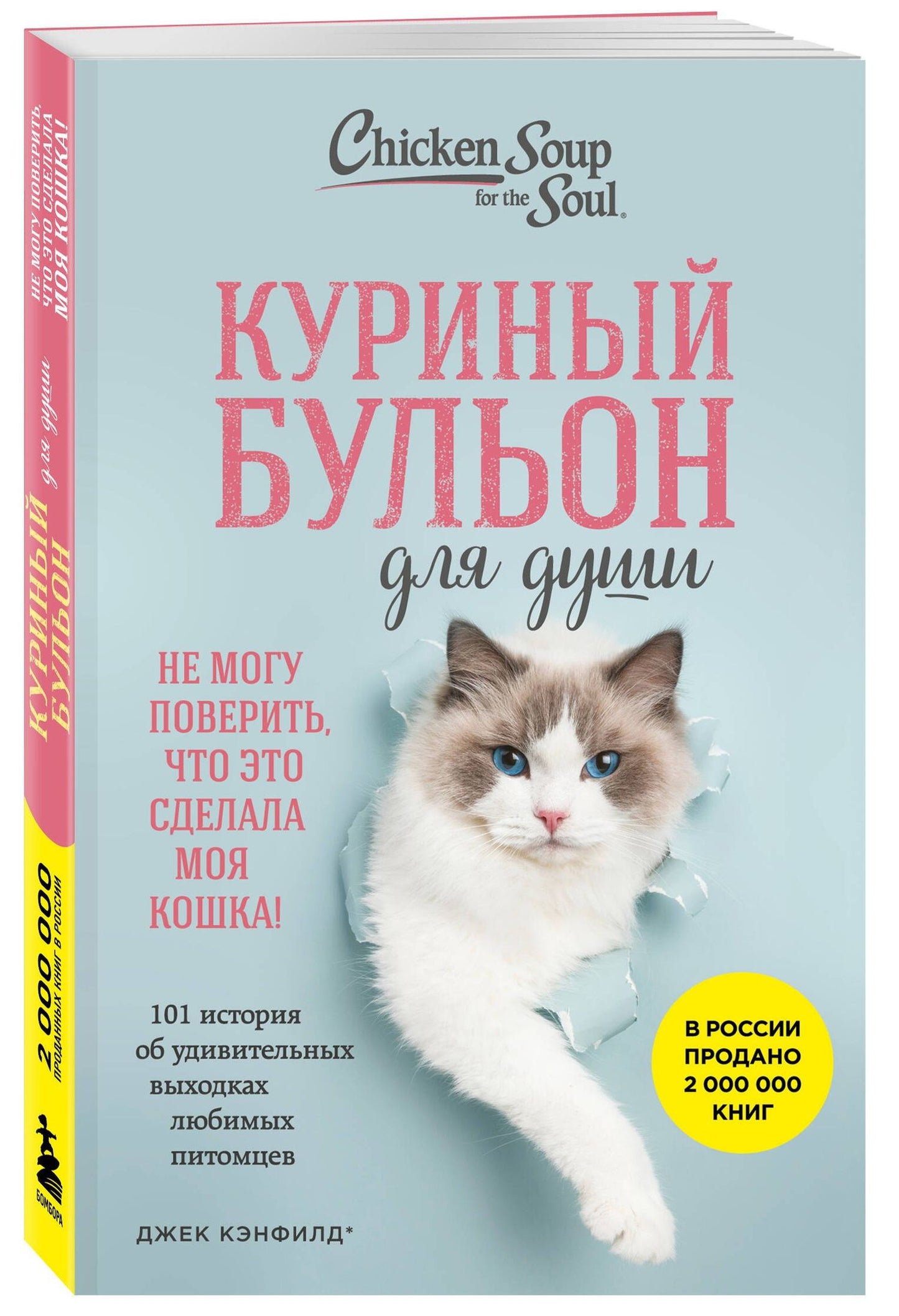 Дженнифер Кваша: Куриный бульон для души. Не могу поверить, что это сделала моя кошка! 101 история об удивительных выходках любимых питомцев