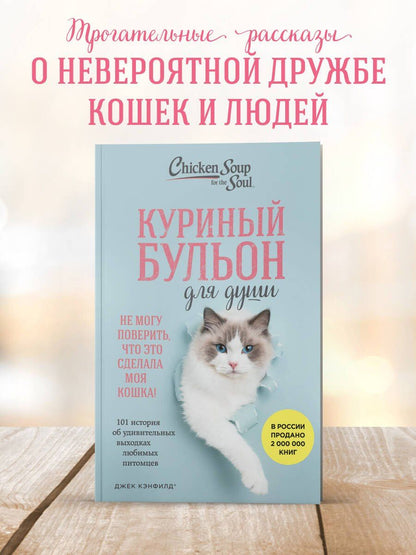 Дженнифер Кваша: Куриный бульон для души. Не могу поверить, что это сделала моя кошка! 101 история об удивительных выходках любимых питомцев