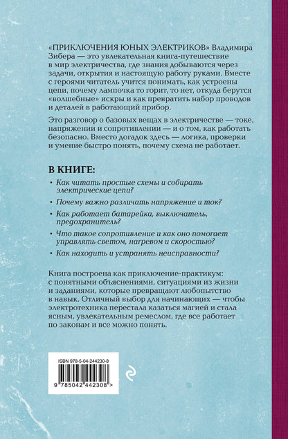 Владимир Зибер: Приключения юных электриков. Рассказы о тайнах электричества. Лучшие советские учебники
