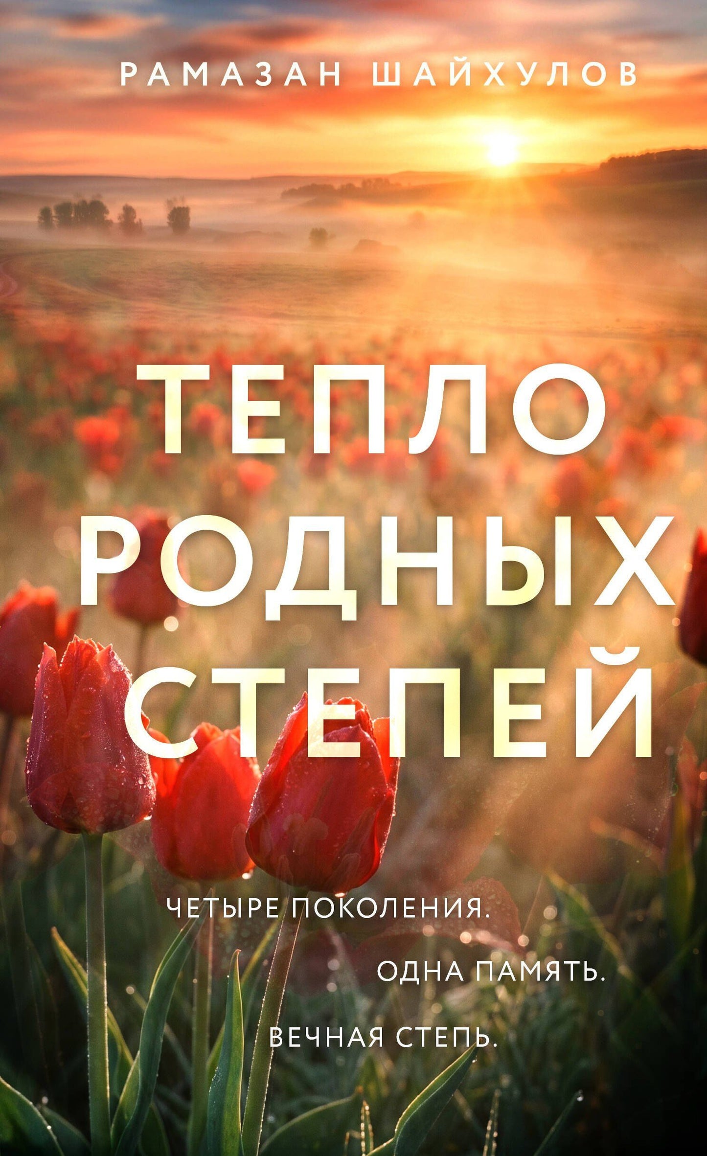 Рамазан Шайхулов: Тепло родных степей