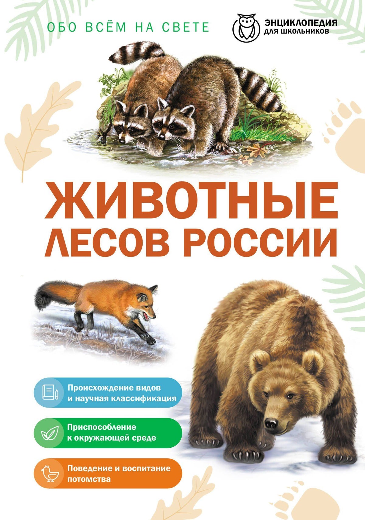 Животные лесов России