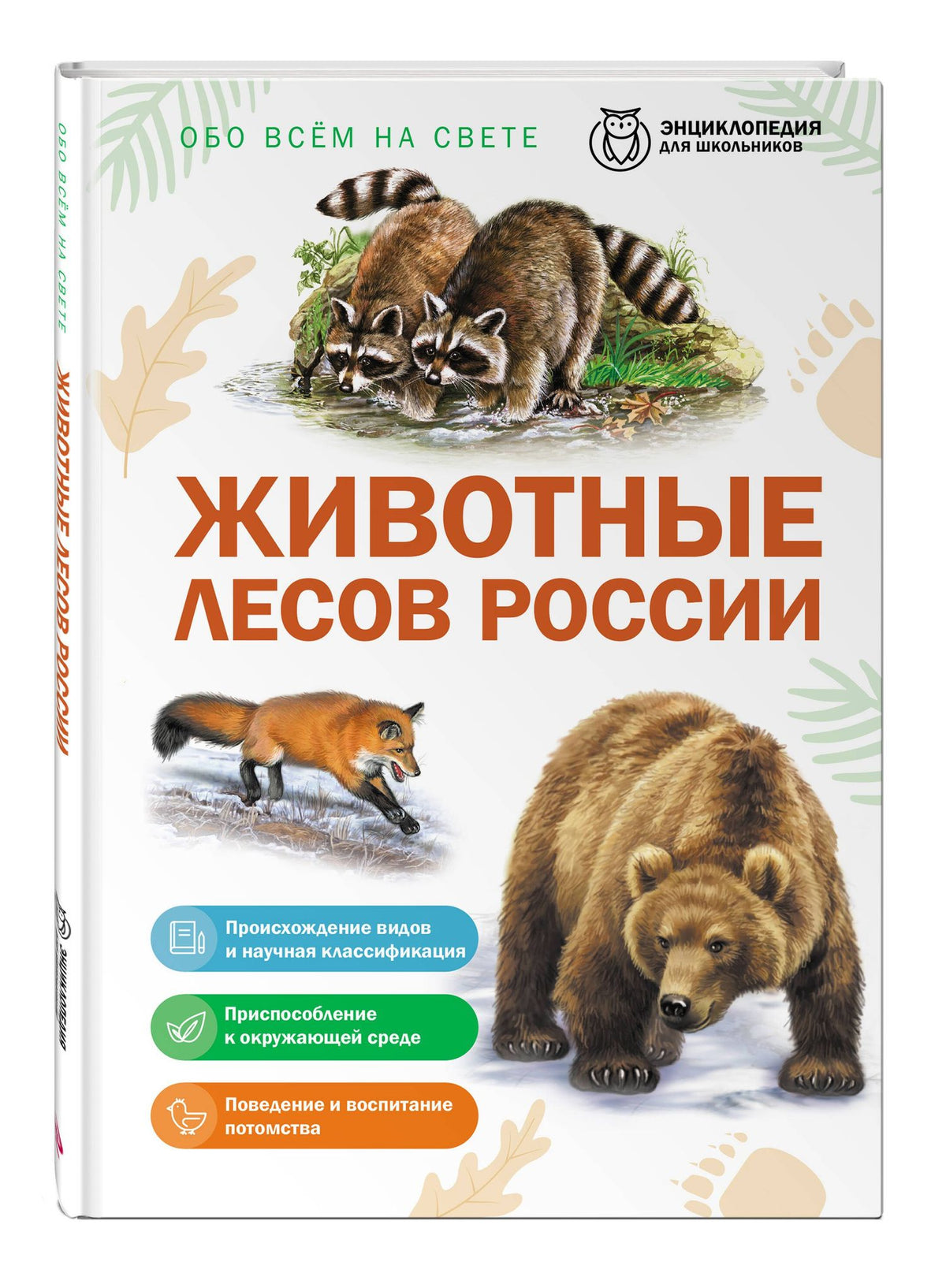 Животные лесов России