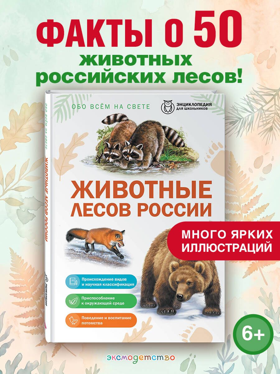 Животные лесов России