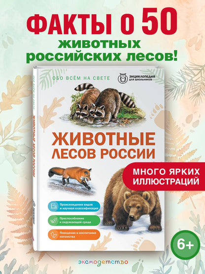 Животные лесов России