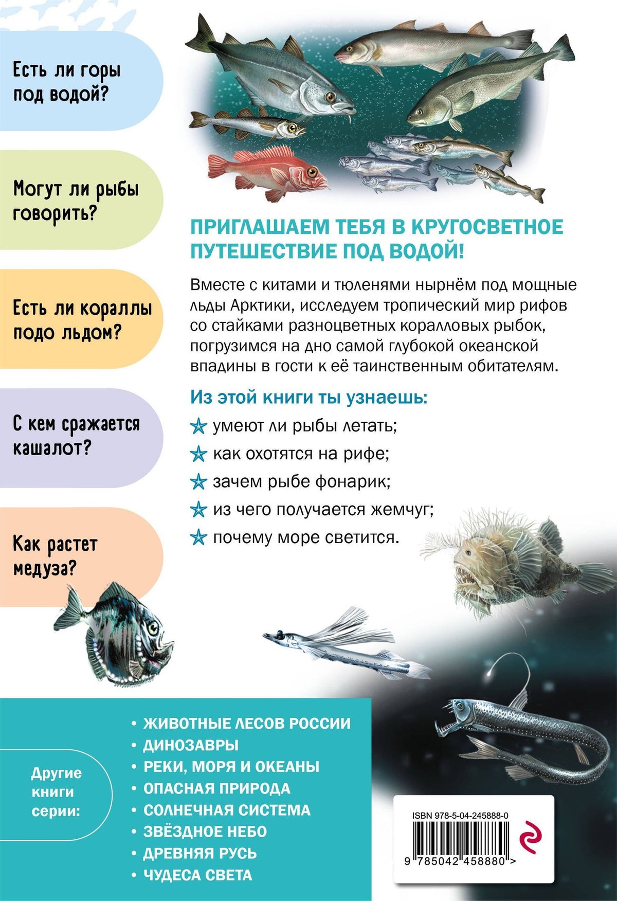 Подводный мир