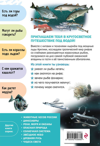 Подводный мир
