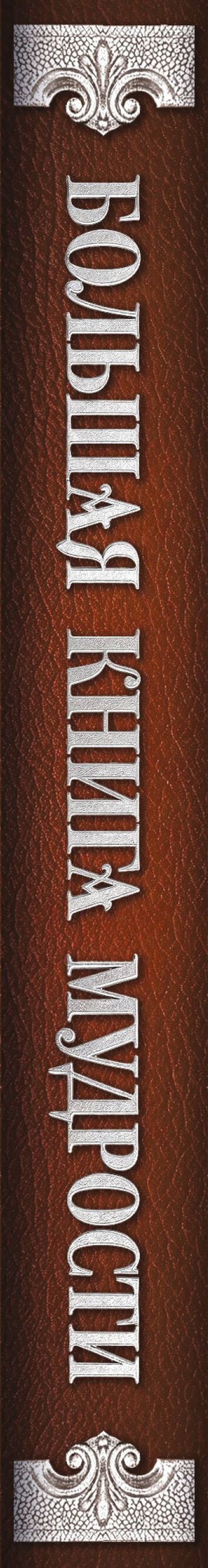 Большая книга мудрости (с вырубкой)