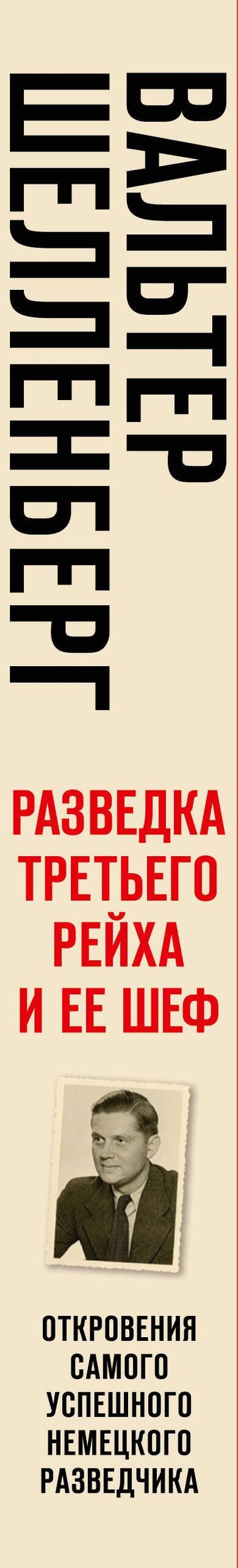 Вальтер Шелленберг: Разведка Третьего рейха и ее шеф