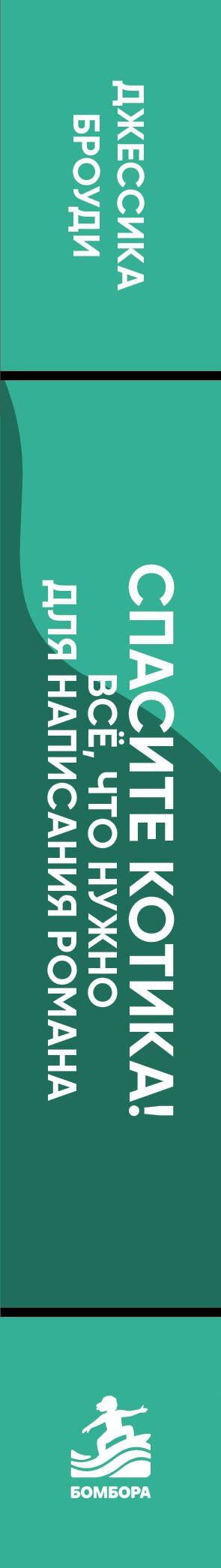 Джессика Броуди: Спасите котика! Всё, что нужно для написания романа